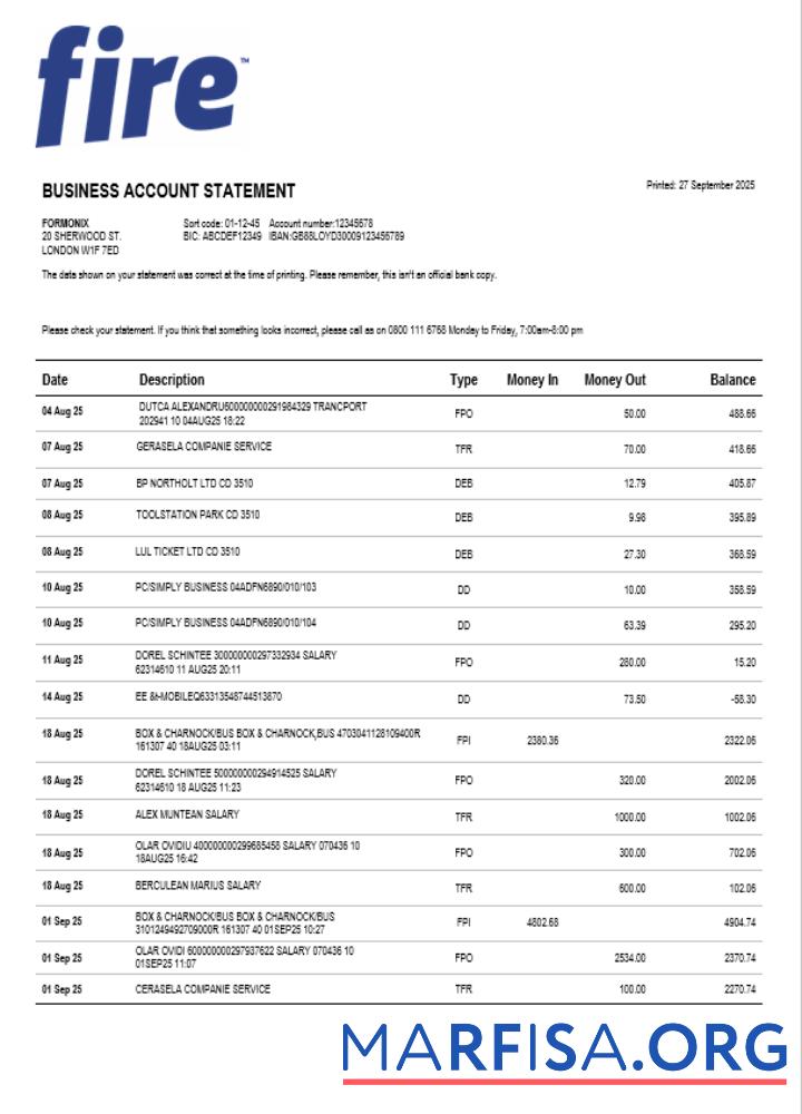 Downloadable Fire Financial Services Limited enterprise statement Word and PDF format sample
